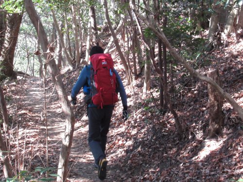 登山道